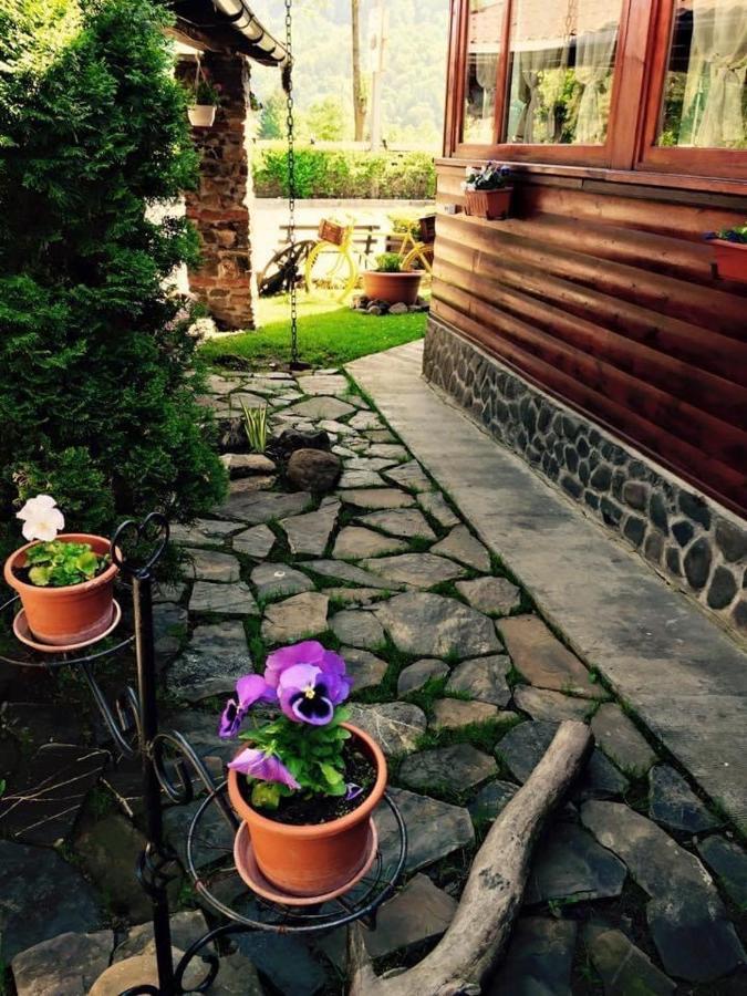 Chalet Il Rifugio Bradet Săcele Exterior foto